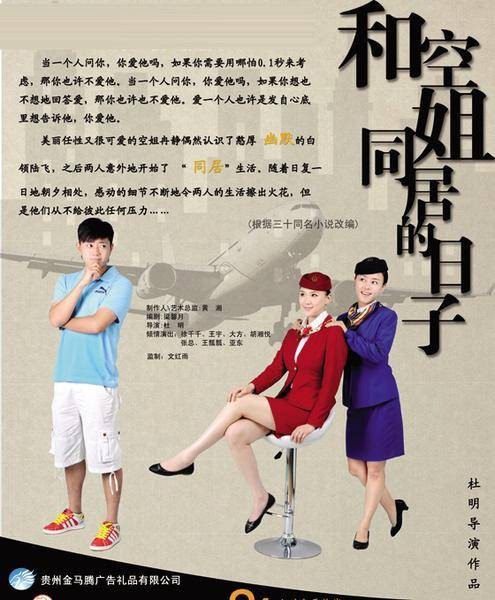 和空姐同居的日子（2009年中国海关出版社出版的图书）