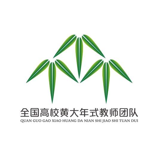 全国高校黄大年式教师团队