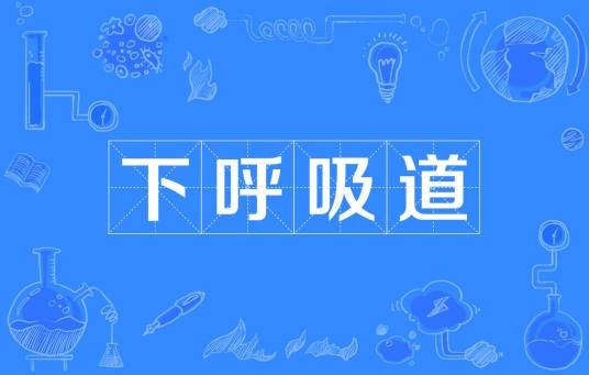 下呼吸道