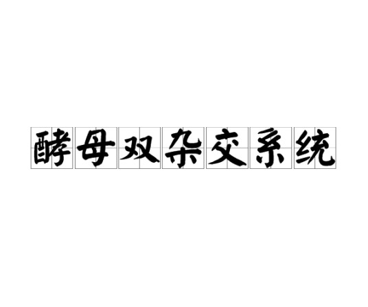 酵母双杂交系统