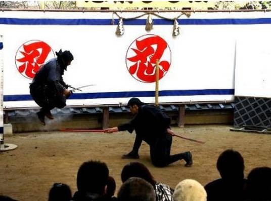 忍术(日本武士道中的忍术)