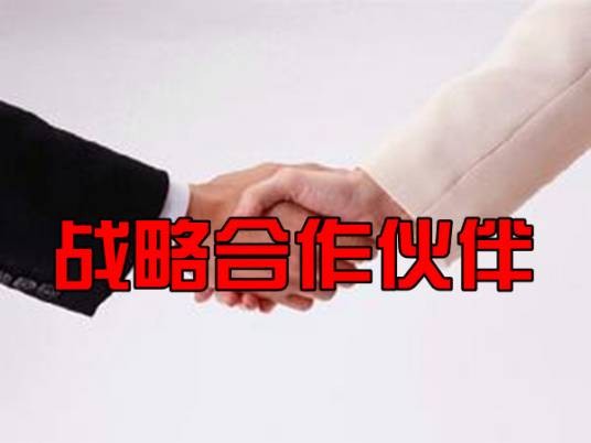 战略合作伙伴