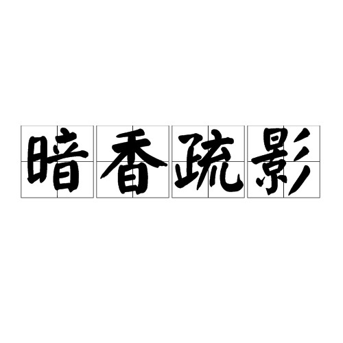 暗香疏影（汉语成语）