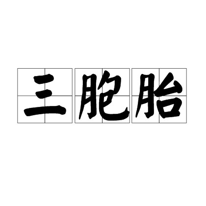 三胞胎（汉语词语）
