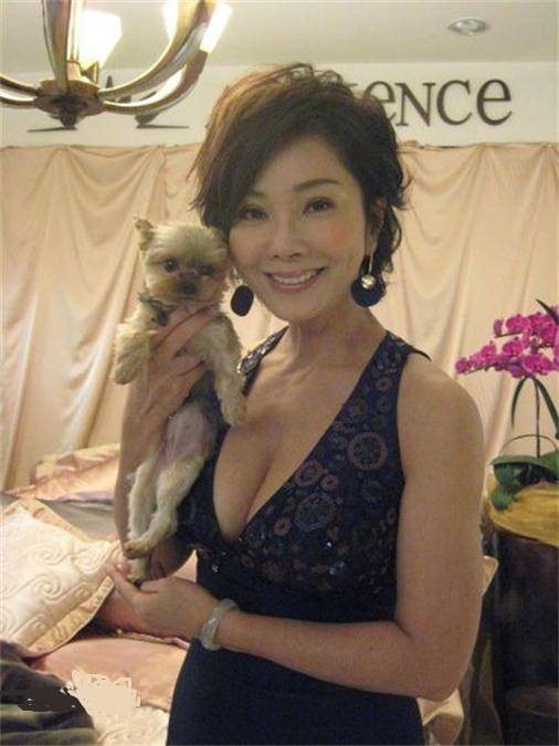 陈美凤(中国台湾知名女演员、歌手、主持人、作家)