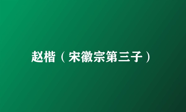 赵楷(宋徽宗第三子)
