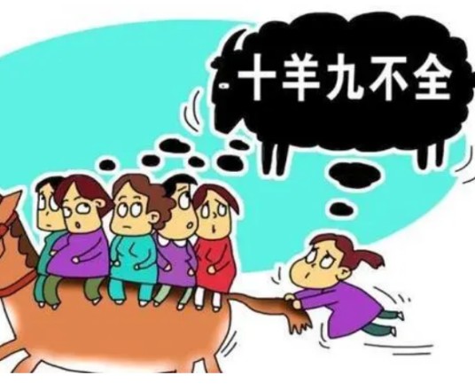 十羊九不全