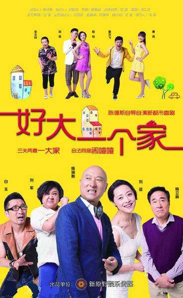 好大一个家(2013年陈佩斯执导电视剧)
