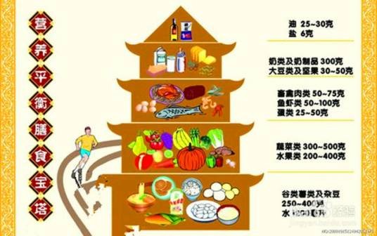 均衡营养