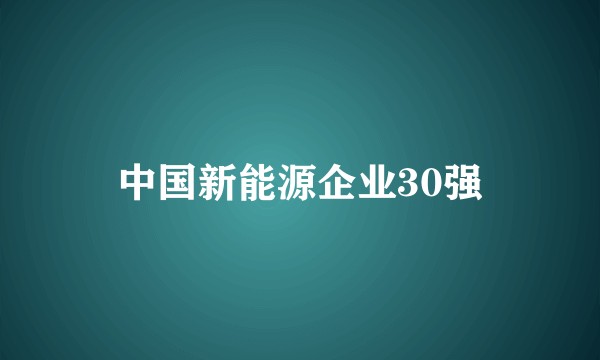 中国新能源企业30强