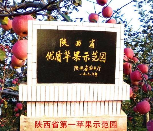 赵家(咸阳市旬邑县原底乡下辖村)