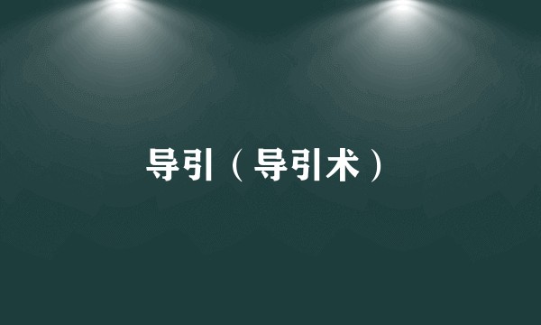 导引（导引术）