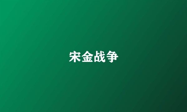 宋金战争