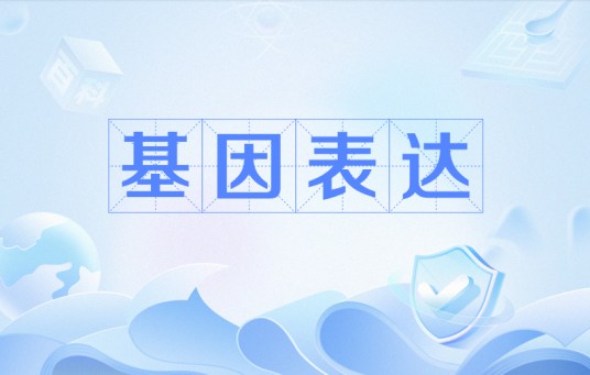 基因表达