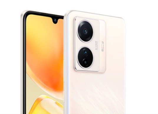 vivo S15e