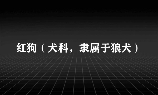 红狗（犬科，隶属于狼犬）