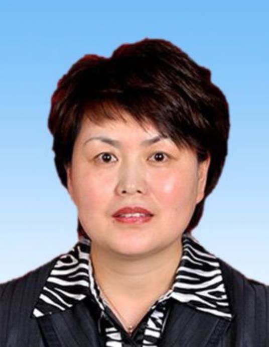李晓燕（内蒙古自治区呼和浩特市委常委、赛罕区委书记）