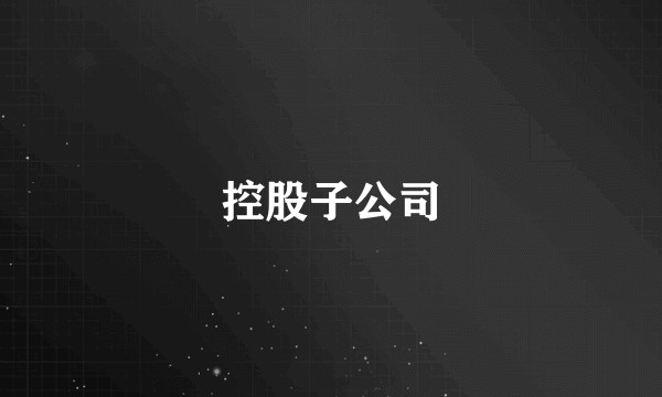 控股子公司