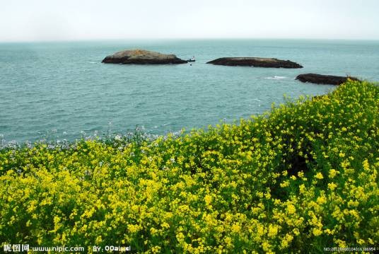 水域（词语概念）