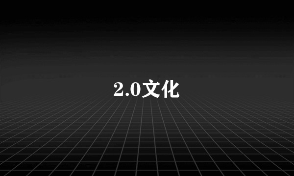 2.0文化