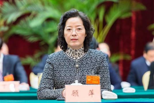 顾萍（江苏省泰州市人民政府原党组成员）
