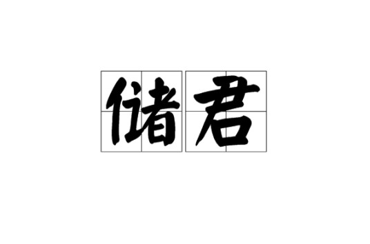 储君（王位或皇位的继承人）