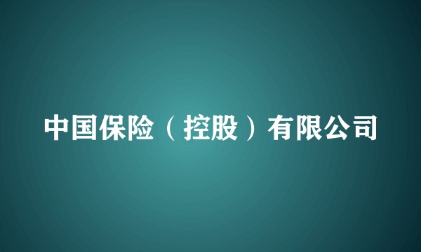中国保险（控股）有限公司