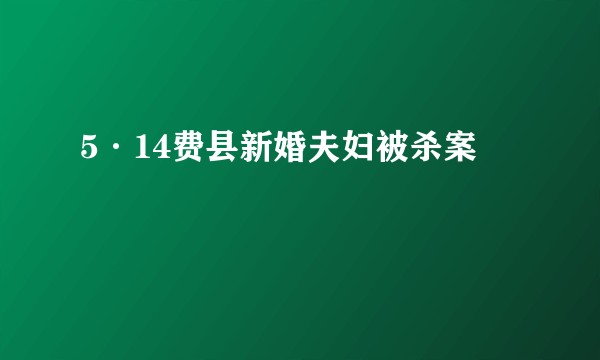 5·14费县新婚夫妇被杀案