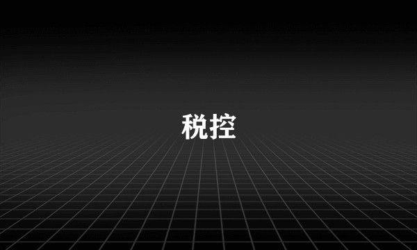 税控