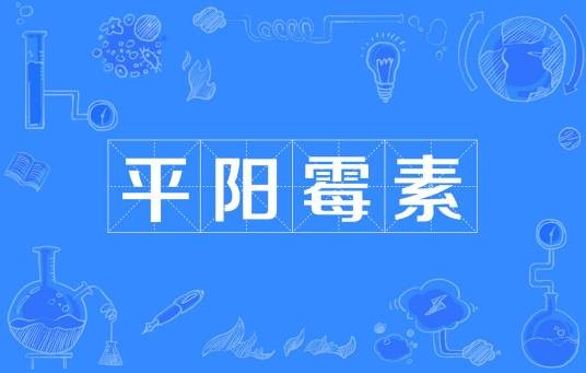 平阳霉素