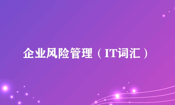 企业风险管理(IT词汇)