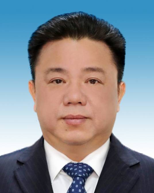 林冠（广西壮族自治区钦州市委原书记）