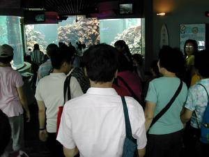 社会教育