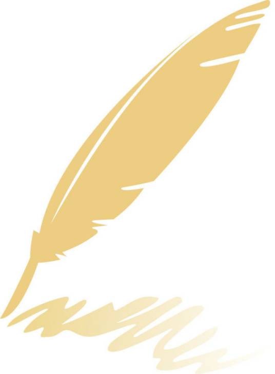 鸡毛