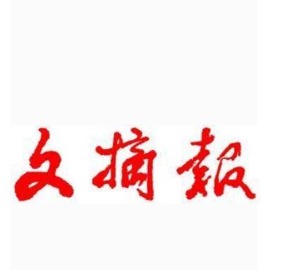 文摘报