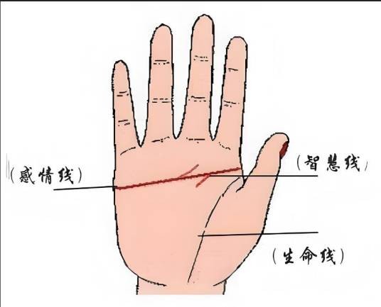 智慧线