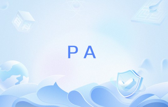 PA（网络流行语）