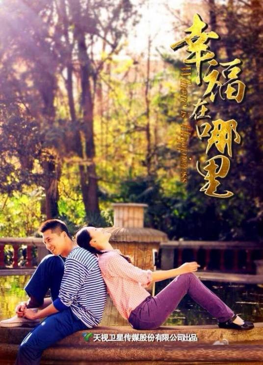 幸福在哪里（2014年王雷、曾泳醍、林家川主演的电视剧）