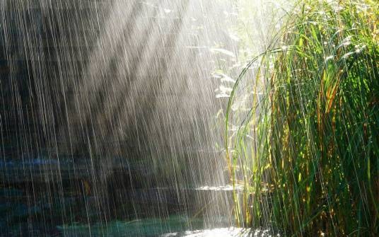 雨季(雨水多季节)