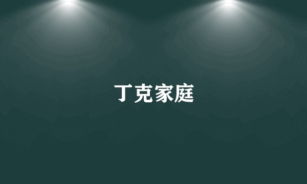 丁克家庭