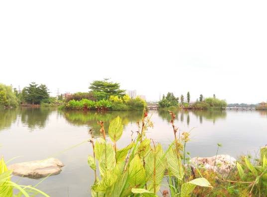 海珠湖公园