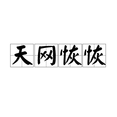天网恢恢（汉语成语）