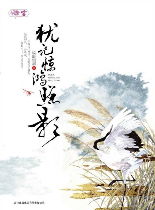 犹记惊鸿照影