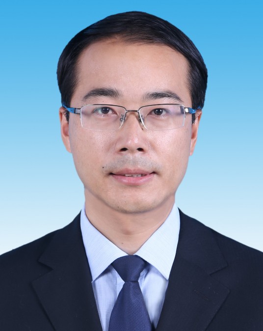 鲁霞光