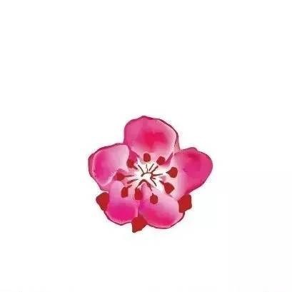 南京市市花