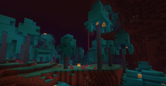 下界（电子游戏《Minecraft（我的世界）》中的维度）