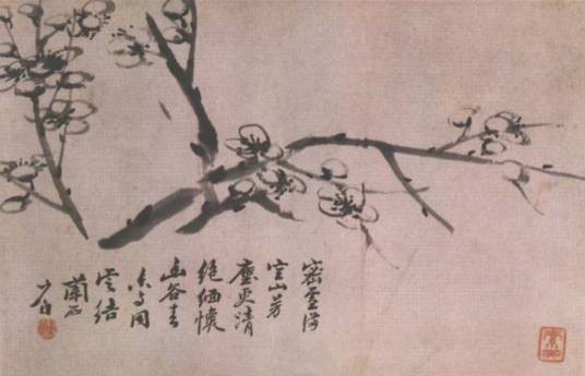西贝货