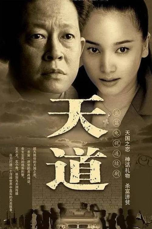天道（2008年张前执导的现实题材电视剧）