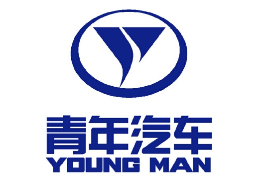 青年汽车集团有限公司