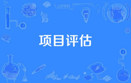 项目评估(投资领域术语)